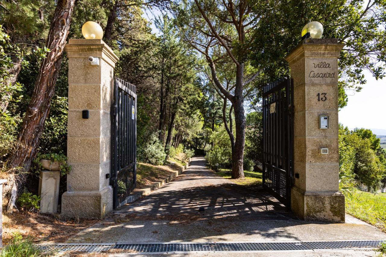 Villa Cesarina Amazing Villa With Private Pool In The Tuscan Hills Casale Marittimo Zewnętrze zdjęcie